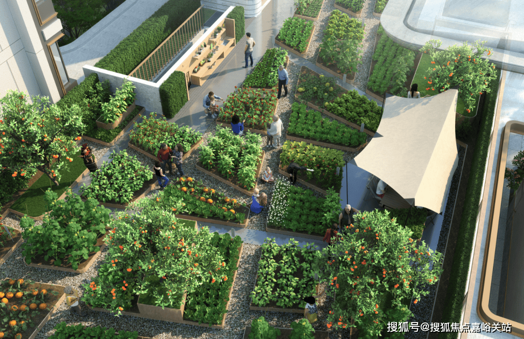 1】(售楼处电线首页网站-楼盘评测-详情户型配套尊龙AG人生就是博贝涟C1·上海奉贤·【贝涟C(图11)