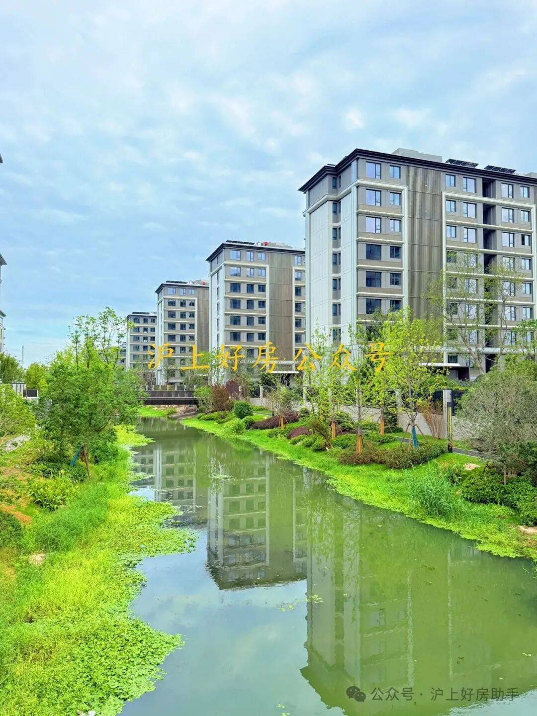 格配套户型丨最新房价+户型图+小区环境+配套+资讯+地铁距离+售楼处电话+一房一价人生就是博-尊龙凯时张江金茂府(上海)首页网站-2025楼盘评测_张江金茂府最新价(图5)