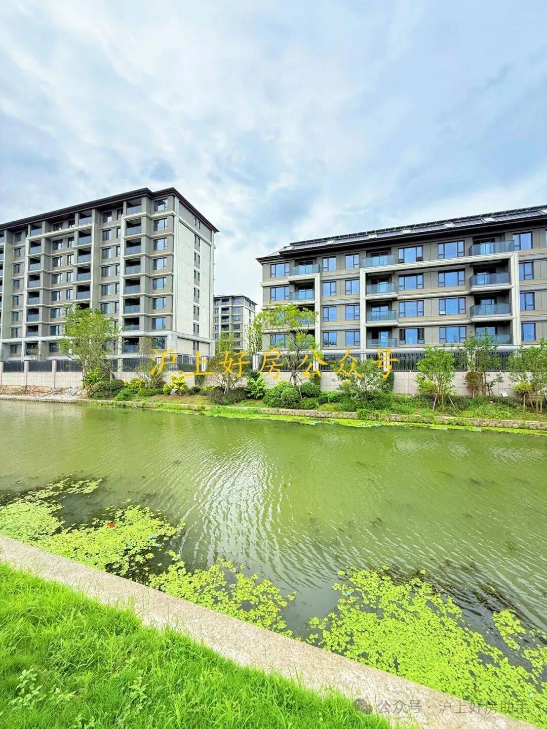 格配套户型丨最新房价+户型图+小区环境+配套+资讯+地铁距离+售楼处电话+一房一价人生就是博-尊龙凯时张江金茂府(上海)首页网站-2025楼盘评测_张江金茂府最新价(图15)